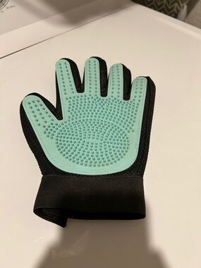 Pet Grooming Deshedding Glove - Mint and Black